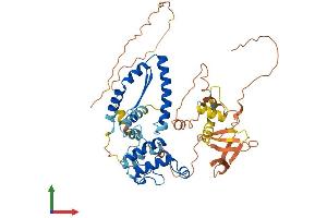AlphaFold protein structure predicition of Human Recombinant NRF1 Protein, UniprotID Q16656