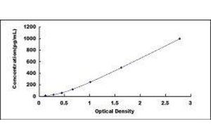 ELISA image for C-Reactive Protein (CRP) ELISA Kit (ABIN1169614)