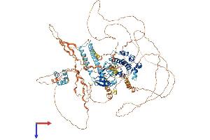 LATS, Large Tumor Suppressor, Homolog 1 (Drosophila) (LATS1) (AA 1-1129) protein (His tag)