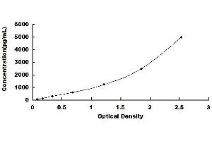 Typical standard curve (NPTX2 Kit ELISA)