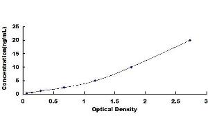 Typical standard curve (VCP Kit ELISA)