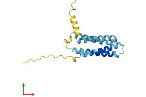 AlphaFold protein structure predicition of Human Recombinant PLP2 Protein, UniprotID Q04941