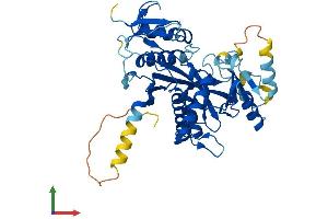 AlphaFold protein structure predicition of Human Recombinant TTLL1 Protein, UniprotID O95922