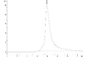 The purity of Biotinylated Human NKG2D is greater than 95 % as determined by SEC-HPLC.