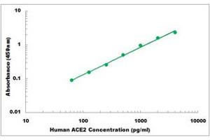 Representative Standard Curve (ACE2 Kit ELISA)