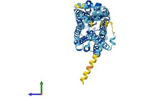 AlphaFold protein structure predicition of Human Recombinant SLC22A11 Protein, UniprotID Q9NSA0