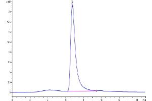 The purity of Cynomolgus IgE is greater than 95 % as determined by SEC-HPLC.