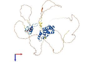 AlphaFold protein structure predicition of Human Recombinant MBD4 Protein, UniprotID O95243