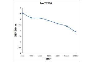Antigen: 2 µg/100 µL  Primary: Antiserum, 1:500, 1:1000, 1:2000, 1:4000, 1:8000, 1:16000, 1:32000;  Secondary: HRP conjugated Rabbit Anti-Goat IgG at 1: 5000;  TMB staining Read the data in Microplate Reader by 450nm.