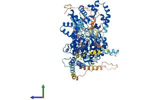 AlphaFold protein structure predicition of Human Recombinant DHX36 Protein, UniprotID Q9H2U1