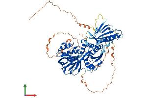 AlphaFold protein structure predicition of Human Recombinant SPHK2 Protein, UniprotID Q9NRA0