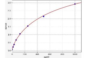 Typical standard curve (CALCB Kit ELISA)