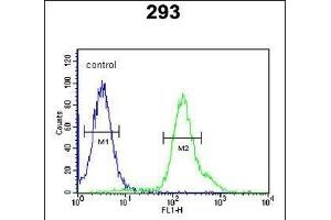 ARMC5 Antibody (C-term) (ABIN651593 and ABIN2840314) flow cytometric analysis of 293 cells (right histogram) compared to a negative control cell (left histogram). (ARMC5 anticorps  (C-Term))