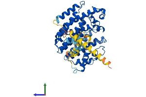 AlphaFold protein structure predicition of Mouse Recombinant Fdft1 Protein, UniprotID P53798