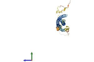 AlphaFold protein structure predicition of Mouse Recombinant Snap29 Protein, UniprotID Q9ERB0