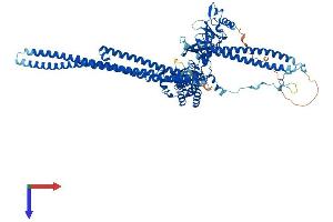 AlphaFold protein structure predicition of Human Recombinant FES Protein, UniprotID P07332