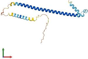 AlphaFold protein structure predicition of Mouse Recombinant Atf3 Protein, UniprotID Q60765