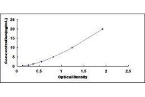 Lysophosphatidic Acid Receptor 3 (LPAR3) ELISA Kit