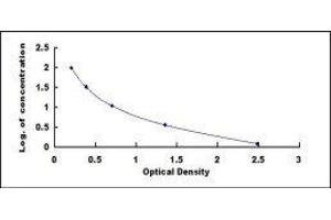 ELISA image for Butyrylcholinesterase (BCHE) ELISA Kit (ABIN432738)