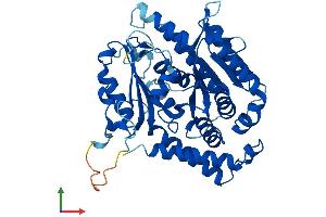 AlphaFold protein structure predicition of Mouse Recombinant Tubd1 Protein, UniprotID Q9R1K7