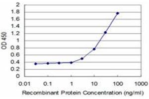 Detection limit for recombinant GST tagged TBX3 is approximately 1ng/ml as a capture antibody. (TBX3 anticorps  (AA 311-410))