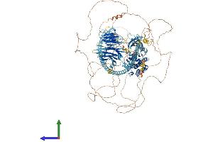 AlphaFold protein structure predicition of Human Recombinant TNIK Protein, UniprotID Q9UKE5