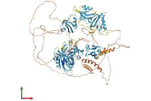 AlphaFold protein structure predicition of Human Recombinant GRIP1 Protein, UniprotID Q9Y3R0