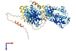 AlphaFold protein structure predicition of Mouse Recombinant Rps6ka2 Protein, UniprotID Q9WUT3