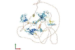 AlphaFold protein structure predicition of Mouse Recombinant Rbm10 Protein, UniprotID Q99KG3