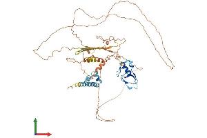 AlphaFold protein structure predicition of Human Recombinant RLIM Protein, UniprotID Q9NVW2
