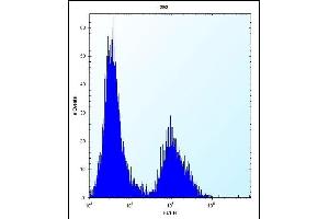 CLDN2 Antibody (C-term ) (ABIN656563 and ABIN2845823) flow cytometric analysis of 293 cells (right histogram) compared to a negative control cell (left histogram). (Claudin 2 anticorps  (C-Term))