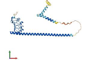 AlphaFold protein structure predicition of Mouse Recombinant Lrrc59 Protein, UniprotID Q922Q8