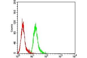 Flow cytometric analysis of Hela cells using CASP6 mouse mAb (green) and negative control (red).