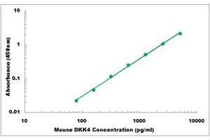 Representative Standard Curve (DKK4 Kit ELISA)