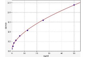 Typical standard curve (BMPR1A Kit ELISA)