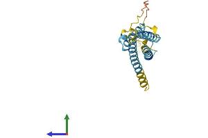 AlphaFold protein structure predicition of Mouse Recombinant Pllp Protein, UniprotID Q9DCU2 (Plasmolipin Protein (AA 1-182) (His tag))