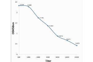 Antigen: EBV (Human herpesvirus 4)EBNA 3A, 0.
