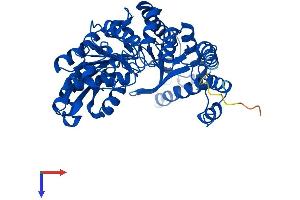 AlphaFold protein structure predicition of Human Recombinant CSAD Protein, UniprotID Q9Y600