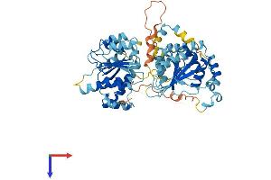 AlphaFold protein structure predicition of Human Recombinant DDX56 Protein, UniprotID Q9NY93