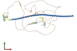 AlphaFold protein structure predicition of Mouse Recombinant Begain Protein, UniprotID Q68EF6