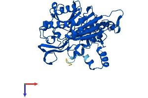 AlphaFold protein structure predicition of Human Recombinant UPB1 Protein, UniprotID Q9UBR1