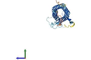 AlphaFold protein structure predicition of Human Recombinant CNTF Protein, UniprotID P26441