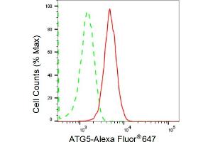 Flow cytometric analysis of ATG5 expression in HepG2 cells using ATG5 antibody (ABIN7797674), 1:2,000).