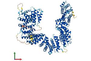 AlphaFold protein structure predicition of Mouse Recombinant Tbcd Protein, UniprotID Q8BYA0