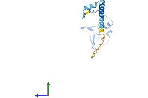 AlphaFold protein structure predicition of Human Recombinant RPL24 Protein, UniprotID P83731