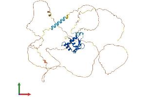 AlphaFold protein structure predicition of Human Recombinant ETV4 Protein, UniprotID P43268