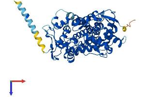 AlphaFold protein structure predicition of Human Recombinant CYP2S1 Protein, UniprotID Q96SQ9