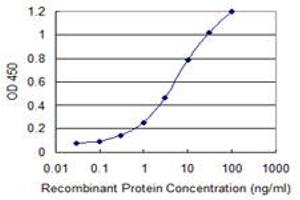 Detection limit for recombinant GST tagged ETV1 is 0. (ETV1 anticorps  (AA 148-257))