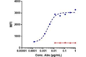 A549 cells were stained with Anti-ROR1 Reference Antibody (zilovertamab) and negative control protein respectively, washed and then followed by PE and analyzed with FACS, EC50=0. (Recombinant ROR1 (Zilovertamab Biosimilar) anticorps)
