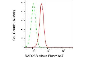 Flow cytometric analysis of RAD23B expression in HeLa cells using RAD23B antibody (ABIN7800118), 1:2,000). (RAD23B anticorps)